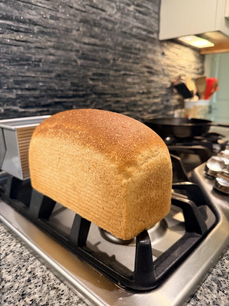 Sandwich Bread